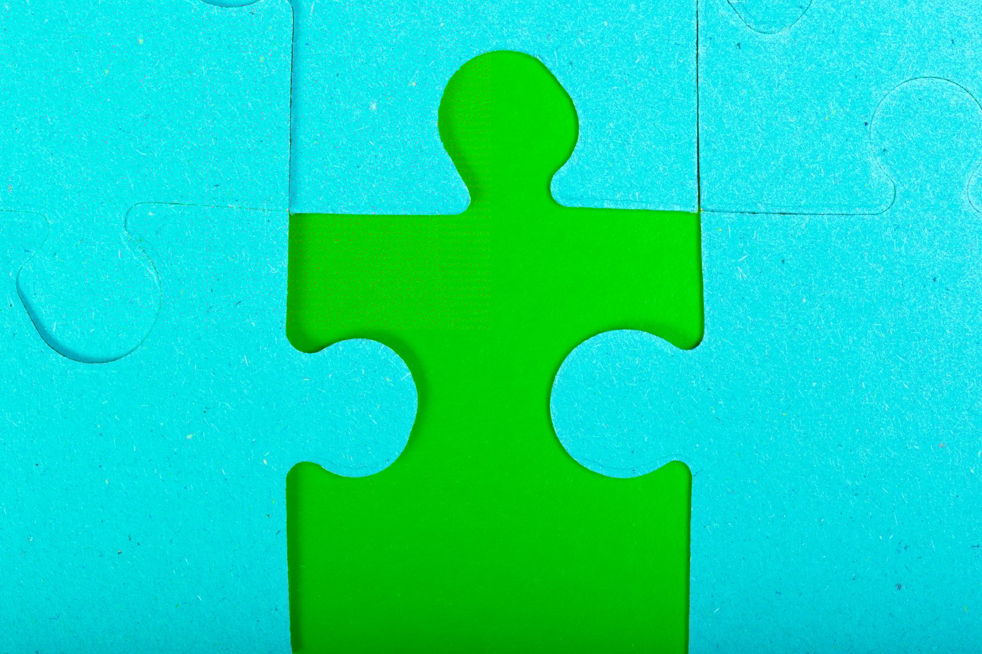 Puzzle concept