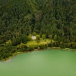 Remote house in the green forest