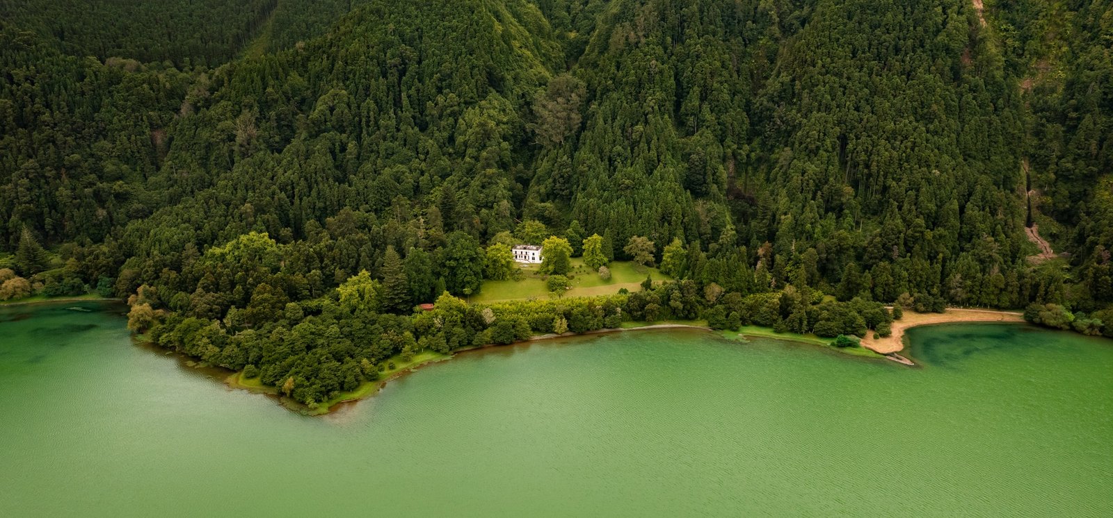 Remote house in the green forest